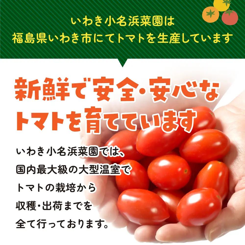 【1月～8月】訳あり 中玉 トマト 約3.5kg×2箱 | 訳あり トマト 中玉トマト 3.5kg 2箱 産地直送 野菜 国産 福島県 いわき産 とまと 数量限定 規格外 不揃い フレッシュ ジューシ