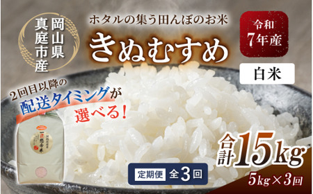 【令和７年産】＜定期便全３回＞ 真庭市産きぬむすめ 白米 ５kg×３回 岡山県 竹中商店 先行予約【tkns-tkb013-cho】
