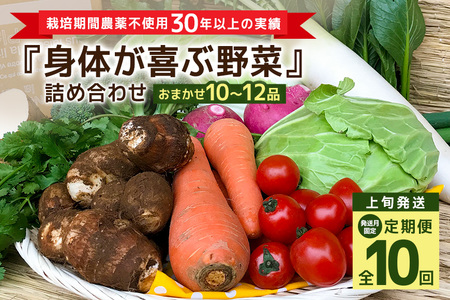 ＜発送月固定定期便＞『身体が喜ぶ野菜』詰め合わせ ( おまかせ 10～12品) 定期便 野菜 詰合せ 上旬発送全10回 詰め合わせセット お任せ 野菜定期便 季節の野菜 セット 有機栽培 EM農法 産