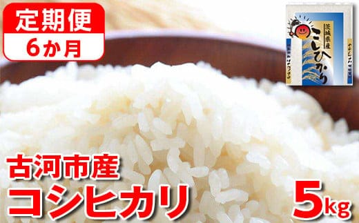 
										
										【新米】【定期便 6か月】令和6年産 古河市産コシヒカリ 5kg◇ | 米 こめ コメ 5キロ 定期便 精米 こしひかり 単一米 国産 古河市産 茨城県産 贈答 贈り物 プレゼント 茨城県 古河市 直送 農家直送 産地直送 送料無料 _DP35
									