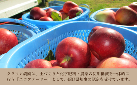 【2025年先行予約】【りんごの宝石箱】 信州産りんご 詰め合わせセット 約5kg 旬のりんご品種を3種以上厳選 千曲市産りんご 長野のりんご