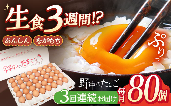 
            【3回定期便】産みたて新鮮卵 野中のたまご  80個×3回 計240個【野中鶏卵】[OAC007] / 卵 長持ち 濃厚 玉子 濃厚 卵料理 タマゴ 鶏卵 オムレツ 卵かけご飯 卵焼き
          