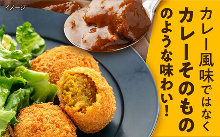 【全6回定期便】三富屋さんの本気のカレーコロッケ20個 0.8kg【三富屋商事株式会社】[AKFJ075]
