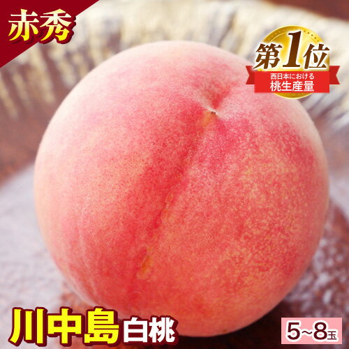 【ふるさと納税】和歌山県紀の川市産 川中島白桃 5-8玉入り〈赤秀〉 株式会社松源《2026年7月中旬-8月中旬頃出荷》和歌山県 紀の川市