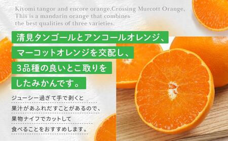 高級柑橘 贈答用ハウスせとか化粧箱8玉～12玉 2月中旬～発送予定 完熟 産地直送 瀬戸田 もりの農園 【瀬戸内産せとか せとか 柑橘 みかん ハウスせとか せとかせとか】