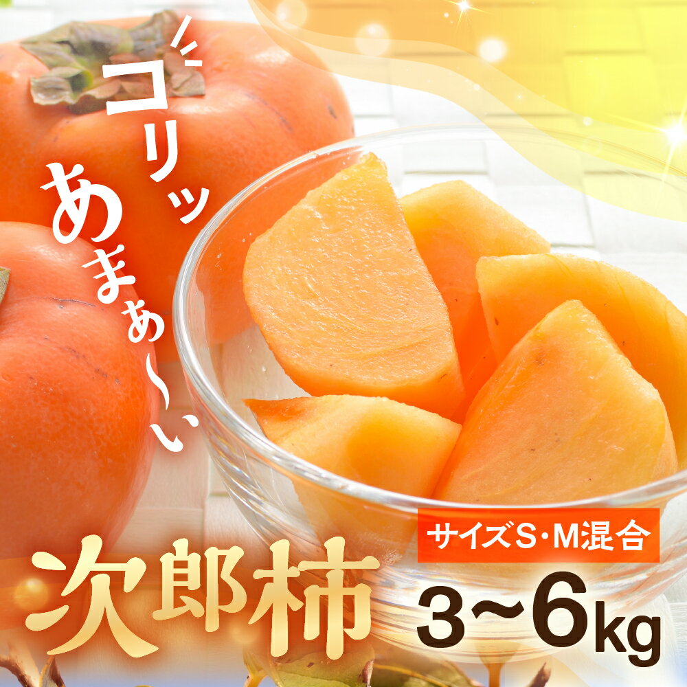 【ふるさと納税】 ≪2025年度産≫豊橋石巻柿工房の『次郎柿』