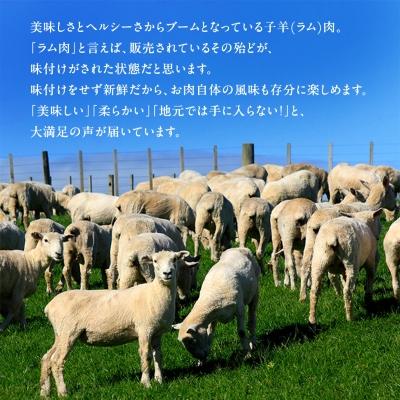 ふるさと納税 稚内市 稚内の肉職人 たかみさんの熟成生ラム肉ロース厚切り(500g×2) |  | 01