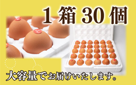 たまご 卵 30個 (26個＋ 割れ保障 4個 ) 産みたて 生たまご ( 新鮮卵 卵10個×3パック 卵30個 下関の卵 豊北卵 ハーブ鳥卵 おいしい卵 卵焼き 目玉焼き用卵 卵かけご飯 洋菓子用卵