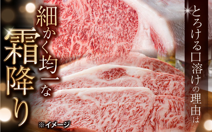 【訳あり】長崎和牛 サーロイン ステーキ 約500g（2枚） 【大西海ファーム食肉加工センター】 [CEK178]