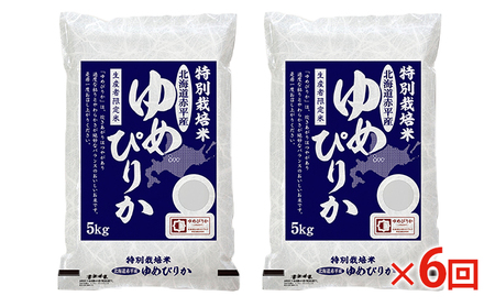 特別栽培米 北海道産 ゆめぴりか【10kg(5kg×2袋)】【定期便6回】