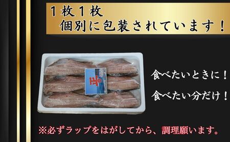 特選 しまほっけフィーレ（中）12枚 ホッケ ホッケ ホッケ ホッケ ホッケ ショウマル下谷
