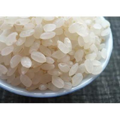 ふるさと納税 上越市 【分づき米】2kg×2袋「Riki-saku コシヒカリ」アフコ・秋山農場のPB米 |  | 01