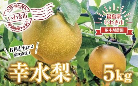 《先行予約》いわき市産梨　幸水5kg（約11～15個）