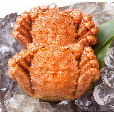 ふるさと納税 北見市 オホーツク海産　浜茹で毛がに　約350g×2ハイ |  | 01