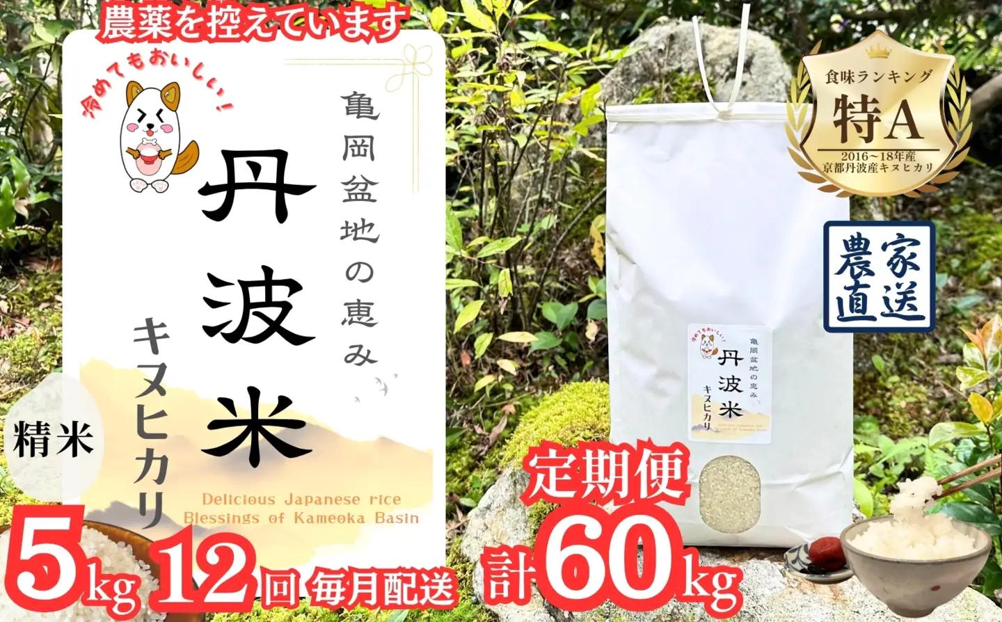 定期便 令和8年産 新米 京都丹波産 キヌヒカリ 5kg×12回 計60kg 白米 精米