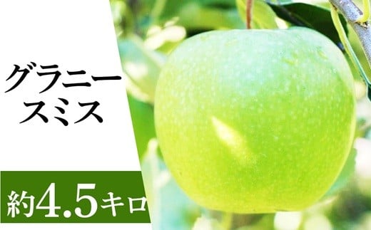 
            長野市産 グラニースミス 4.5kg【2025年11月上旬以降の出荷分】（紅玉屋）果物 リンゴ りんご 林檎 信州 4.5キロ 長野県 酸っぱい 酸味 J0520
          