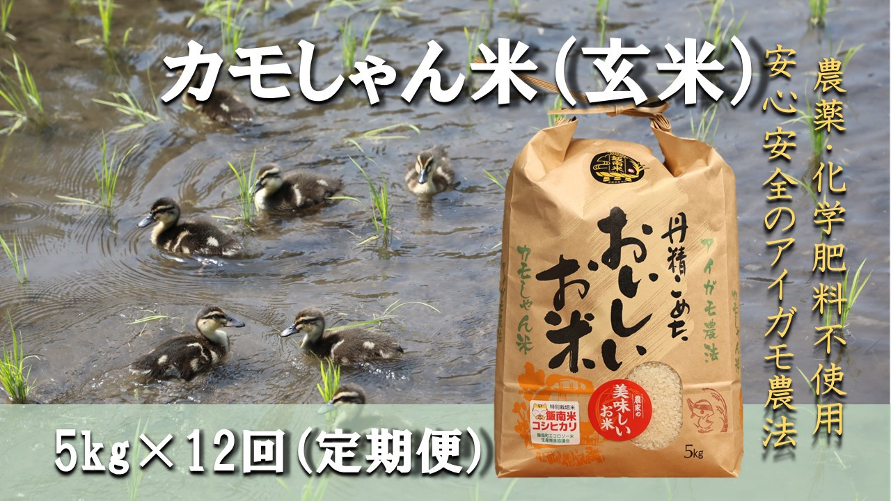 
            【令和6年度産】コシヒカリ（玄米）カモしゃん米 5kg 【 定期便 12回 アイガモ あいがも 合鴨 かも カモ コシヒカリ お米 農家直送 無農薬 化学肥料不使用 玄米 精米 選択可能 安心 安全 新米 令和6年度産 島根県飯南町 D-156 】
          