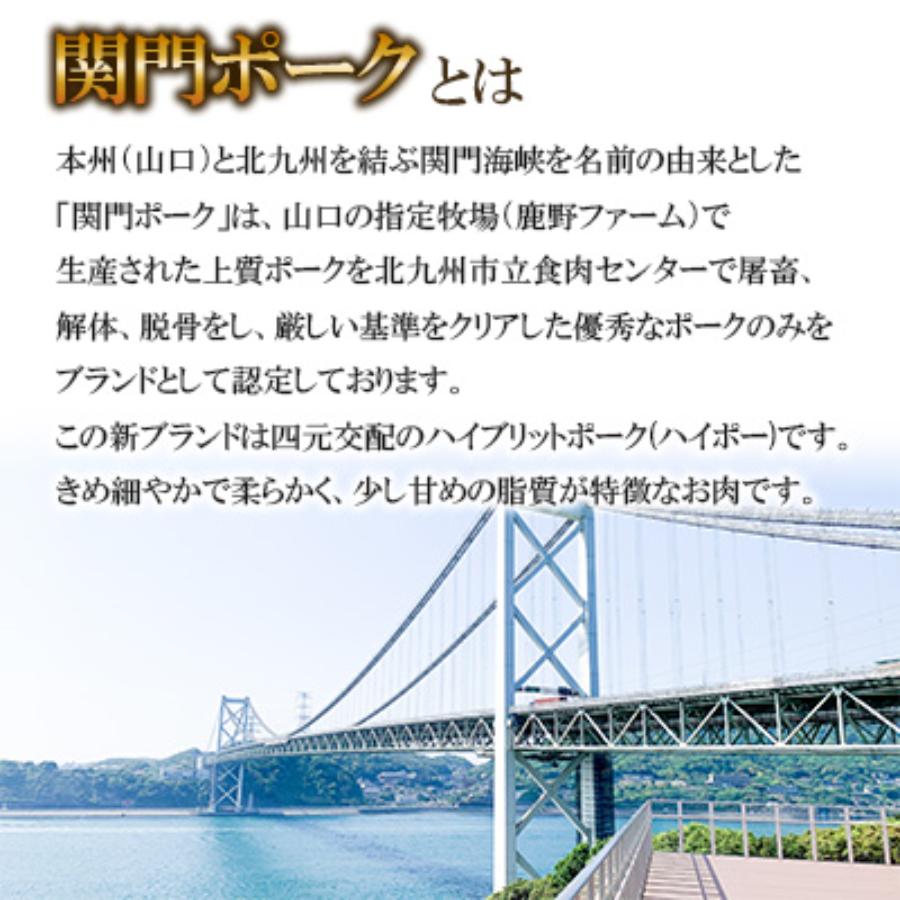 ＜さつま屋産業＞関門ポーク切り落とし500ｇ×8（計4kg）