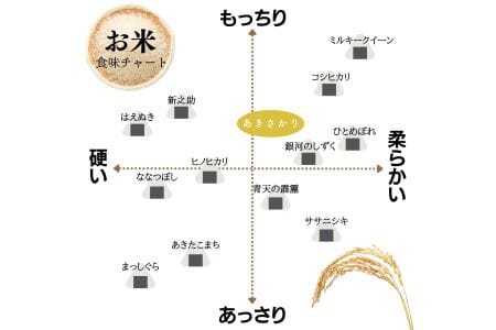 【定期便】 【令和6年産】 広島県産 あきさかり お米マイスター厳選  30kg(10kg×3回）