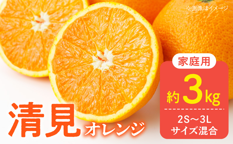 DZ6226_訳あり 家庭用 きよみ 清美オレンジ 和歌山 有田 2S～3Lサイズ混合 3kg