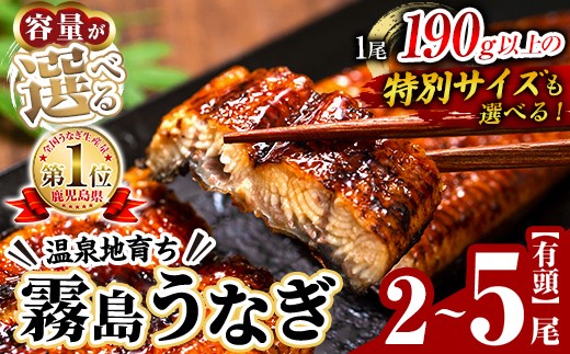 
                  ＜容量が選べる＞霧島うなぎ蒲焼き 2尾or3尾or5尾 (冷凍)【田代水産】霧島市 鰻 ウナギ 蒲焼き 蒲焼 国産 特別サイズ 無投薬 A5-034-RT B-128-RT K-715 C-077-RT
                