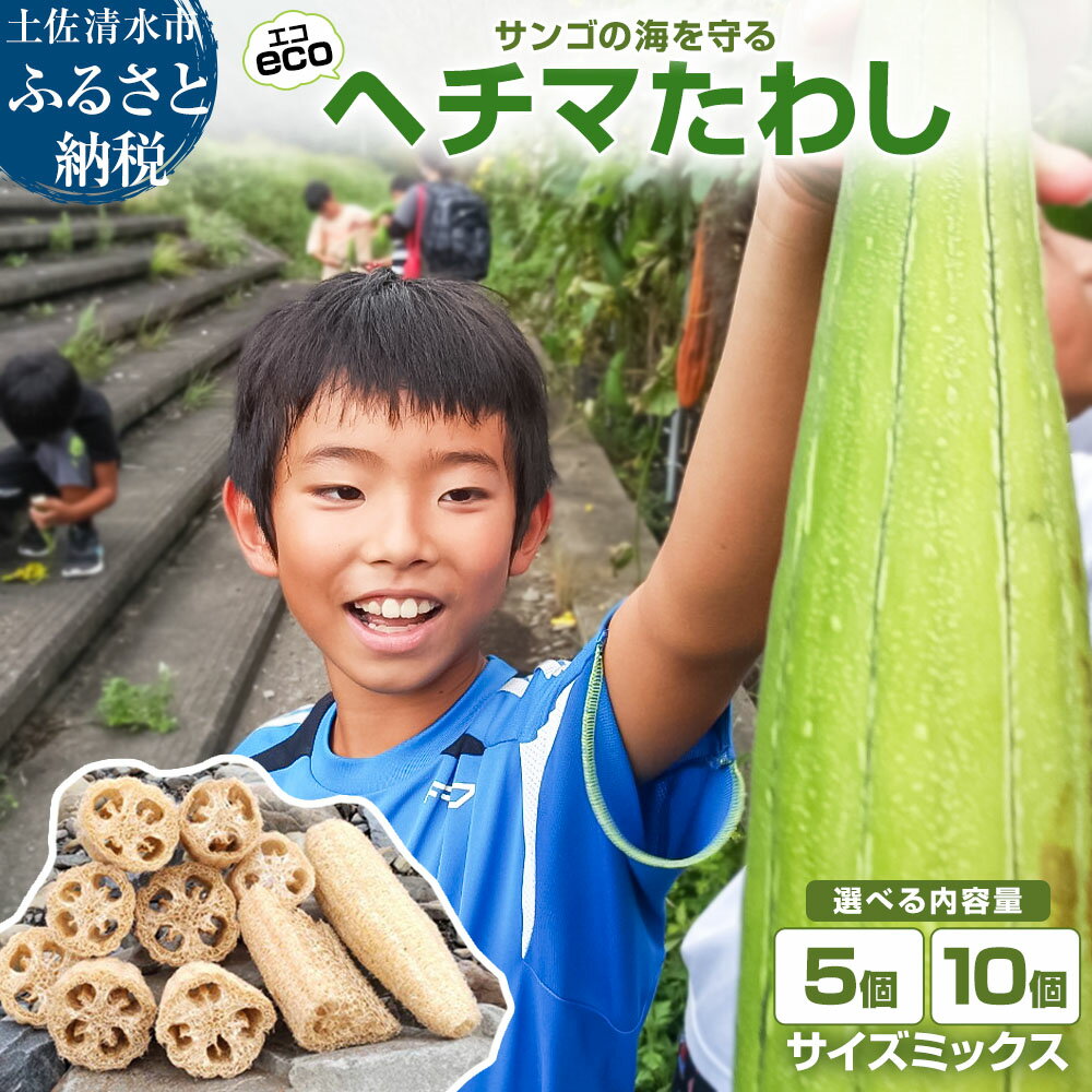 【ふるさと納税】サンゴの海を守る エコ ヘチマたわし サイズミックス 5個 10個 セット スポンジ お風呂 掃除 ボディ キッチンスポンジ 台所 掃除スポンジ 入浴 スキンケア 束子 タワシ へちま 故郷納税 高知県 土佐清水市 送料無料 高知 12000円 20000円