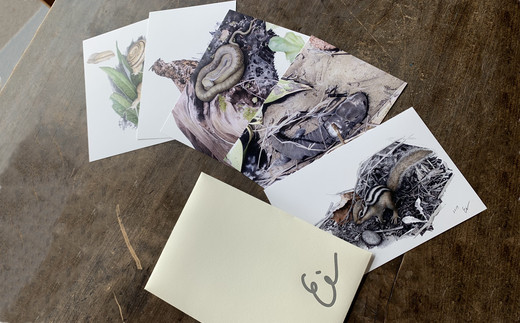 川崎映　ポストカードセット（5種セット）　【01470-0025】