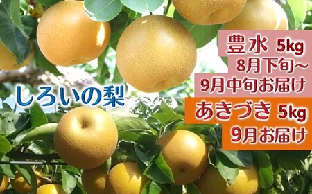 【今夏秋収穫分】梨 2品種セット 豊水とあきづき 各5kg しろいの梨予約受付 甘い ジューシー みずみずしい 果汁たっぷり 美味しい