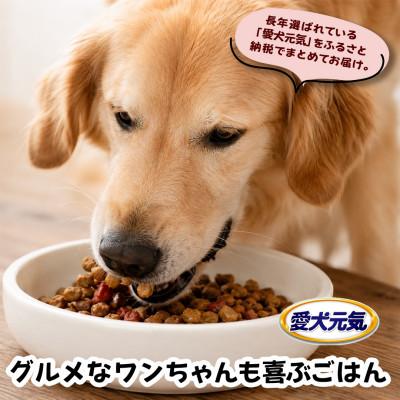 ふるさと納税 上里町 愛犬元気 パックン ビーフ・チキン・緑黄色野菜・小魚・チーズ入り 2.5kg×2袋 ドッグフード |  | 01
