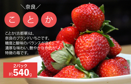 【2025年先行受注】【３ヶ月 定期便】苺 古都華(ことか) 奈良県ブランドいちご 約270g x 2パック 計540g かたおかの苺