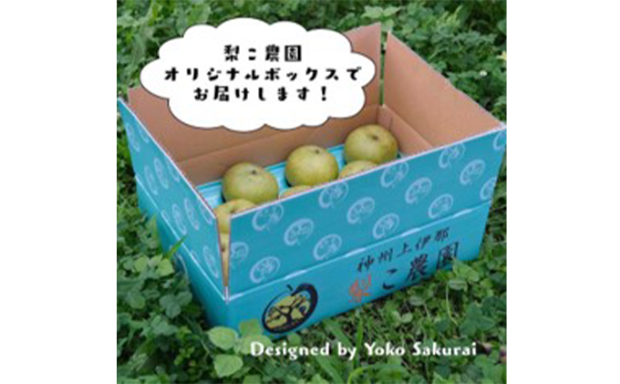 信州産 梨 二十世紀梨 約5kg（14玉前後） 先行予約 フルーツ 果物 長野 長野県産 信州産 デザート おすすめ 特産 産地直送