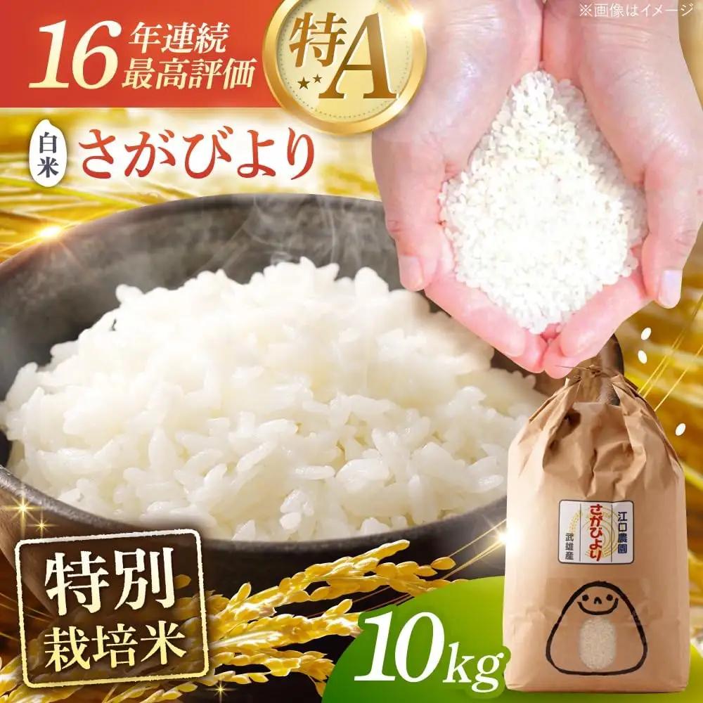 さがびより 白米10kg 白米 [UBF004]