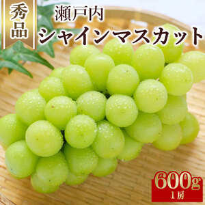 【ふるさと納税】期間限定 シャインマスカット ご家庭用　秀品 1房 約600g【配送不可地域：北海道・沖縄県・離島】