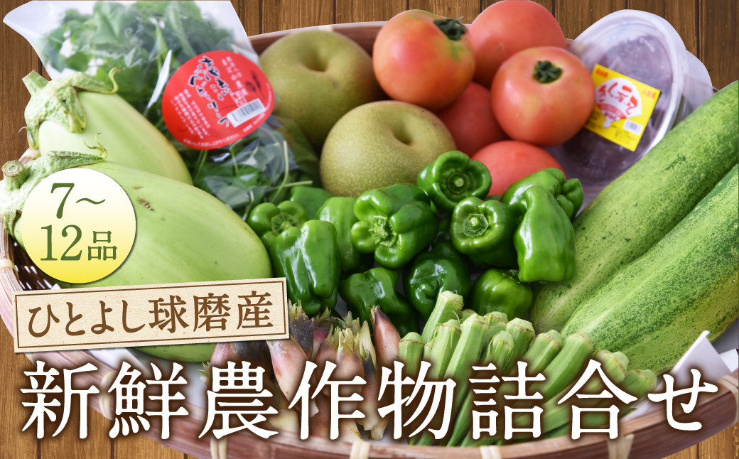 
                  ひとよし球磨産 新鮮農作物詰合せ 【2027年3月上旬-下旬発送予定】 旬 生鮮品 野菜 農作物 お取り寄せ セット 産地直送
                