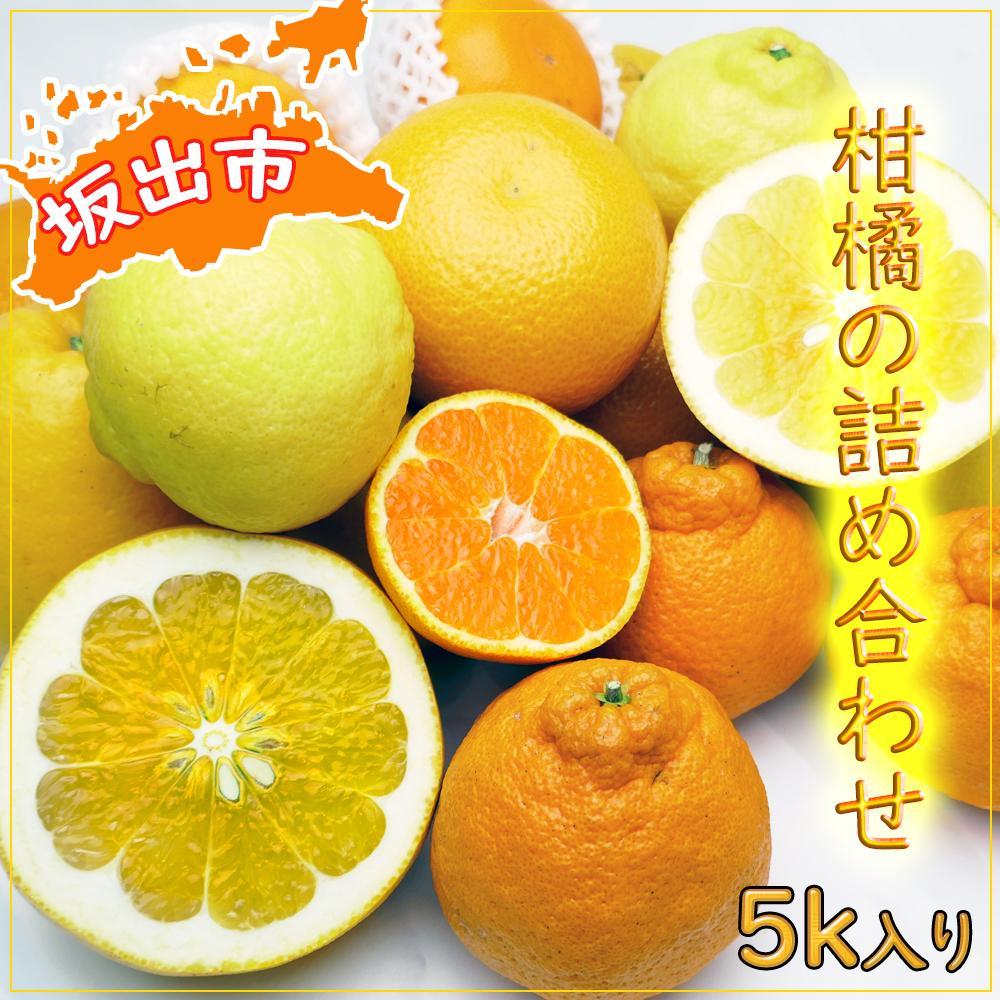 【ふるさと納税】今が旬の柑橘勢揃い！坂出産の柑橘詰め合わせセット | 香川県 坂出市 香川 四国 楽天ふるさと 納税 返礼品 支援 お取り寄せグルメ 取り寄せ グルメ 食品 フルーツ 果物 くだもの 柑橘 柑橘類 かんきつ類 かんきつ ご自宅用 家庭用 お取り寄せ 特産品 ご当地