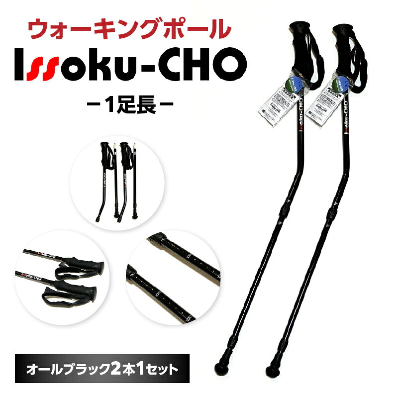 【ふるさと納税】ウォーキングポール Issoku-CHO（1足長） オールブラック 2本1セット 杖 歩行補助 特許取得 グッドデザイン賞 アウトドアスポーツ 山登り トレッキング ハイキング 登山 ウォーキング R17035