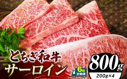 【定期便6回】栃木県共通返礼品 とちぎ和牛サーロイン (200g×4)×6回｜定期便6回 黒毛 和牛 牛肉 焼肉 ステーキ BBQ バーベキュー ブランド和牛 とろける 霜降り 赤身 切り落とし ふるさと 納税 イチオシ おすすめ 栃木県 下野市 しもつけ市