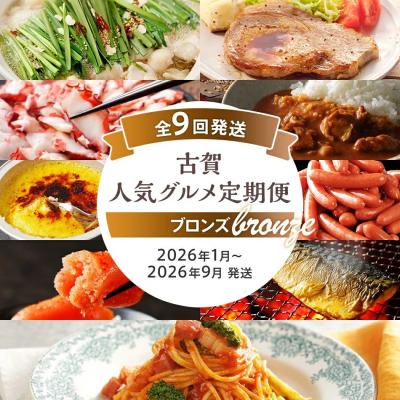 ふるさと納税 古賀市 【定期便(9回発送)】古賀人気グルメ定期便 ブロンズ　2025