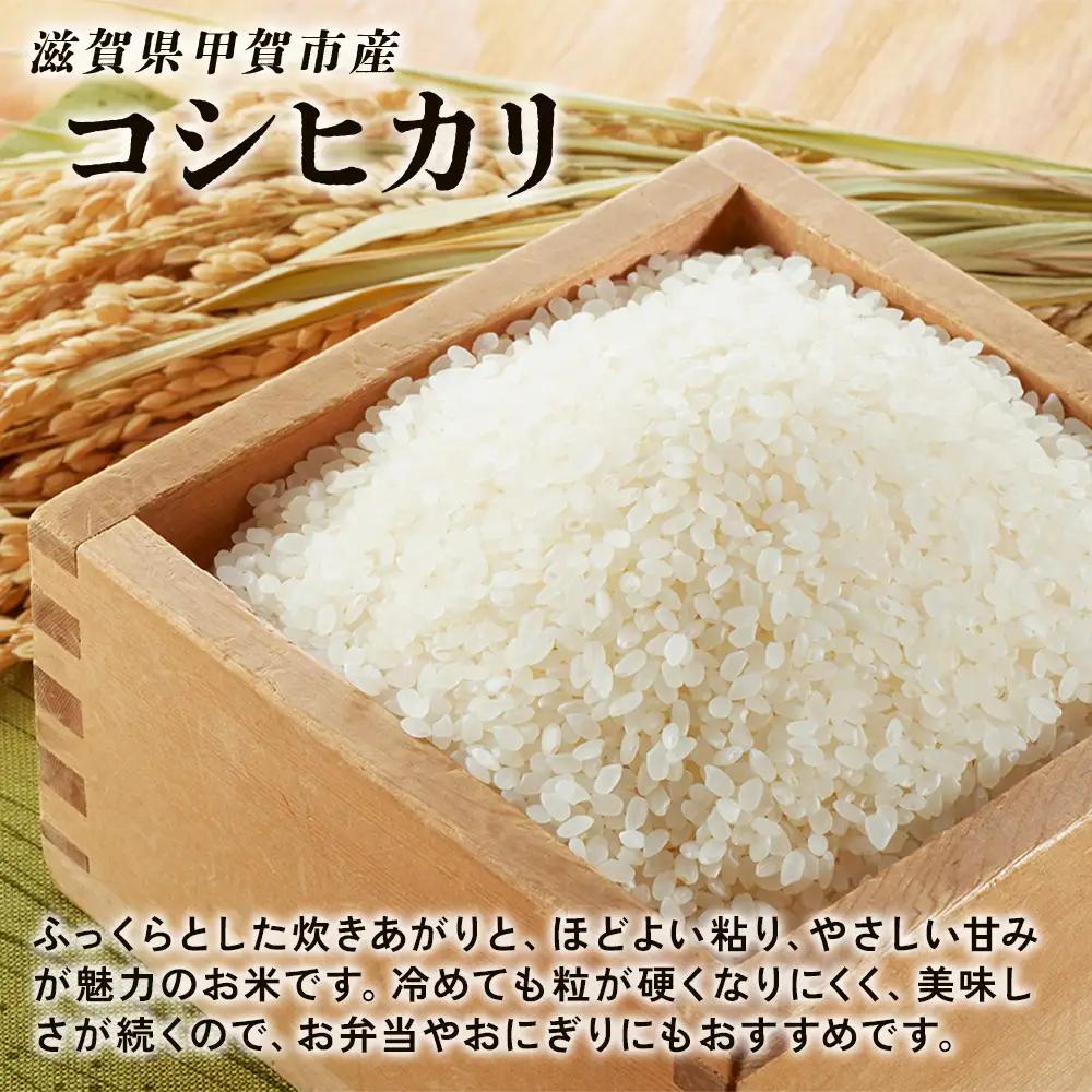 【6ヶ月定期便】【令和7年産】近江米コシヒカリ白米5kg
