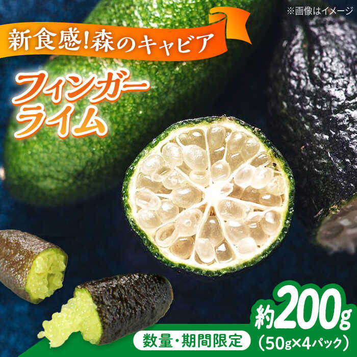【ふるさと納税】【期間限定】森のキャビア フィンガーライム 50g×4パック ライム 果物 くだもの フルーツ みかん ミカン オレンジ 蜜柑 柑橘 先行予約 ジュース 果実 甘味 酸味 ギフト 広島県産 人気 送料無料 広島県産 江田島市/小原農園[XCE011]