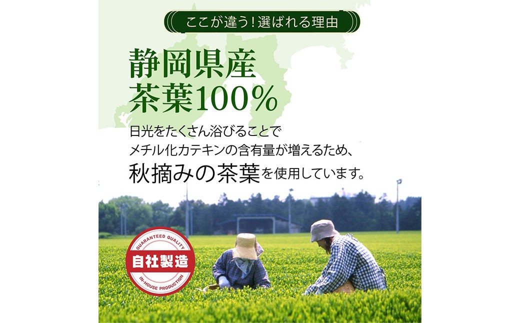 べにふうき茶 ティーバッグ 3g×60包 計180g｜ お茶 茶 緑茶 べにふうき 静岡 静岡茶