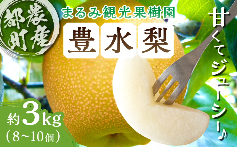 先行予約≪期間限定≫まるみ観光果樹園の『豊水梨』(約3kg) なし 果物 フルーツ 天然 ミネラル栽培_T036-001