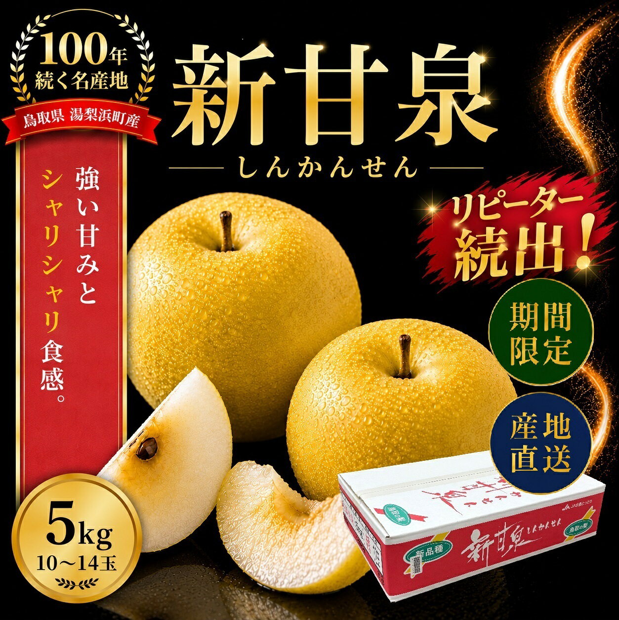 【ふるさと納税】【期間限定】 梨 なし 新甘泉 5kg 10～14玉 (1M) ※2026年8月中旬～9月上旬頃順次発送 | しんかんせん 果物 くだもの フルーツ 甘い ブランド 鳥取県 湯梨浜町 名産 特産品 先行予約 JA 東郷梨選果場 直送 新鮮 人気 定番 おすすめ 送料無料 進物 贈答