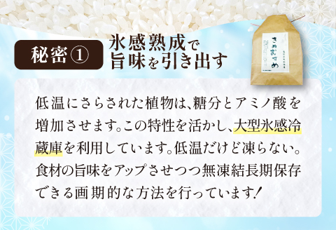 「きぬむすめ」（精米5kg）とご飯のおとも「石見銀山和牛しぐれ」【お米 5kg きぬむすめ 島根県 精米 和牛しぐれ 50g 島根県産 大田市産 米 肉 牛肉 和牛 セット】