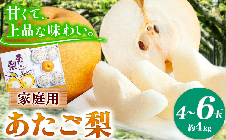 
梨 愛宕梨 あたご梨 4～6玉 家庭用 4kg 箱 石原果樹園 《11月下旬-12月下旬頃より発送予定》岡山県 浅口市 梨 なし 果物 フルーツ くだもの あたご
