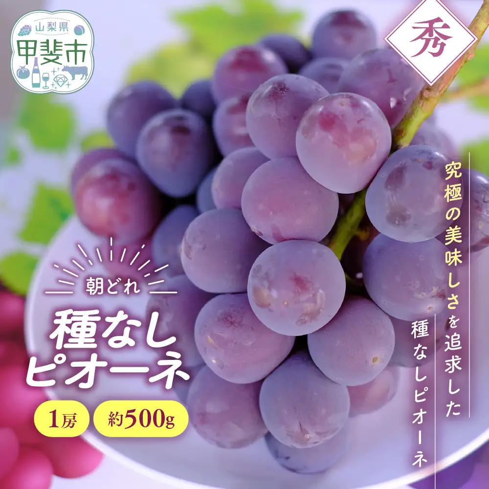 種なし ピオーネ 1房 約500g 山梨県産ぶどう ぶどう