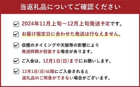 福岡県産 博多 甘うぃ 約1.4kg 大玉9玉入り【2024年11月上旬～12月上旬発送】 ※北海道・沖縄・離島配送不可