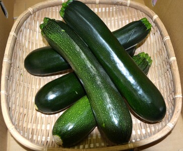 【先行予約】（B）鳴沢村産高原野菜＆加工品詰め合わせ NSJ024