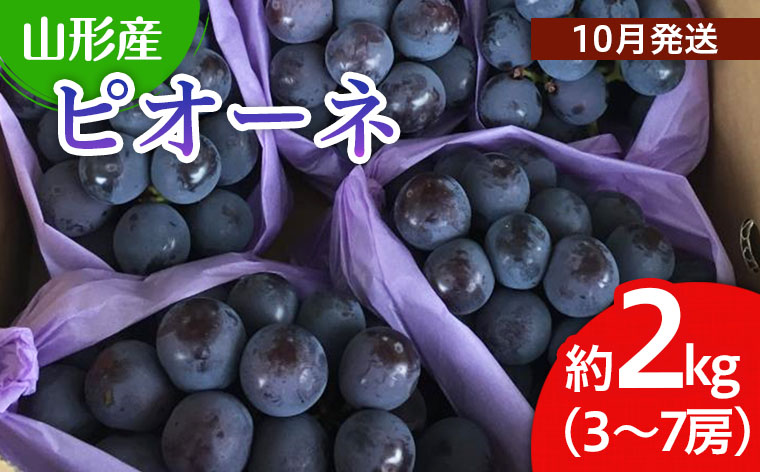 山形市産 ぶどう(ピオーネ) 秀 2kg(3〜7房)[後半] 【令和7年産先行予約】FU22-038