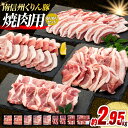 【ふるさと納税】6-Y05 南信州くりん豚もりもり焼肉セット 豚肉 焼肉 BBQ バーベキュー くりん豚 スキンパック 2950g 2.95kg 喬木村